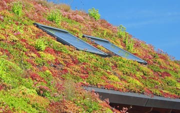 Wallingford living roof systems